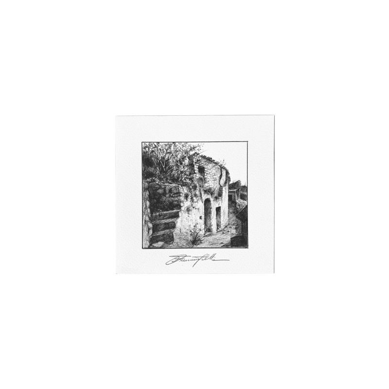 Cartolina illustrata - TOLOTTA