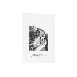 Cartolina illustrata - TOLOTTA